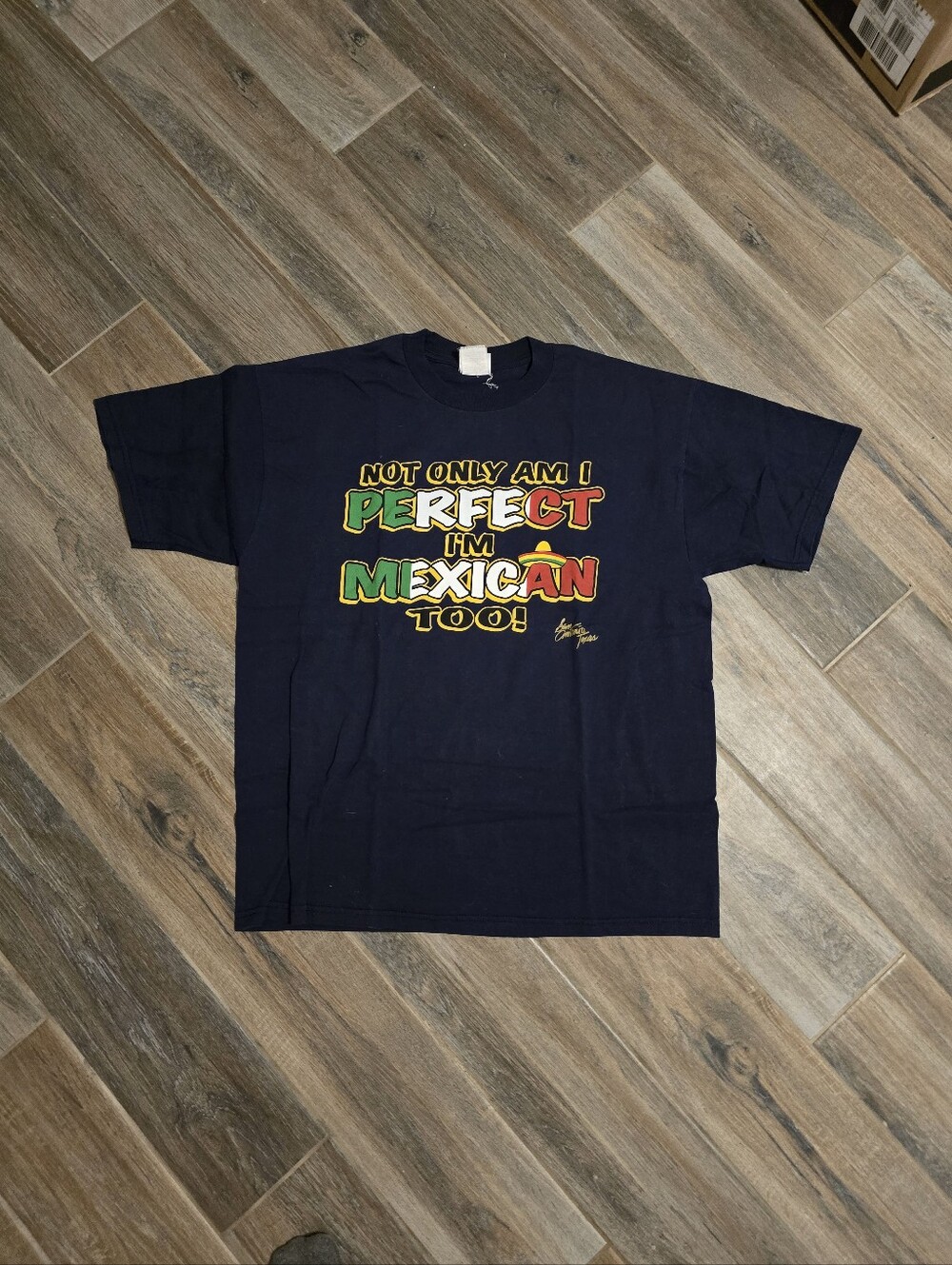 Vintage Y2K Mexican Funny Humor Cartoon Joke T Shirt